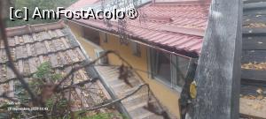 [P08] Aceasta este fereastra camerei noastre .. vedere spre nicaieri » foto by gado
 - 
<span class="allrVoted glyphicon glyphicon-heart hidden" id="av1525952"></span>
<a class="m-l-10 hidden" id="sv1525952" onclick="voting_Foto_DelVot(,1525952,8815)" role="button">șterge vot <span class="glyphicon glyphicon-remove"></span></a>
<a id="v91525952" class=" c-red"  onclick="voting_Foto_SetVot(1525952)" role="button"><span class="glyphicon glyphicon-heart-empty"></span> <b>LIKE</b> = Votează poza</a> <img class="hidden"  id="f1525952W9" src="/imagini/loader.gif" border="0" /><span class="AjErrMes hidden" id="e1525952ErM"></span>