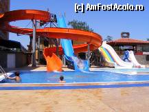 [P05]  -- <small>// FĂRĂ DESCRIERE</small> » foto by eea_mihai
 - 
<span class="allrVoted glyphicon glyphicon-heart hidden" id="av294096"></span>
<a class="m-l-10 hidden" id="sv294096" onclick="voting_Foto_DelVot(,294096,9284)" role="button">șterge vot <span class="glyphicon glyphicon-remove"></span></a>
<a id="v9294096" class=" c-red"  onclick="voting_Foto_SetVot(294096)" role="button"><span class="glyphicon glyphicon-heart-empty"></span> <b>LIKE</b> = Votează poza</a> <img class="hidden"  id="f294096W9" src="/imagini/loader.gif" border="0" /><span class="AjErrMes hidden" id="e294096ErM"></span>