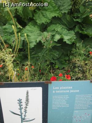 [P01] În Jardin des Plantes, înainte de plecare » foto by diacrys*
 - 
<span class="allrVoted glyphicon glyphicon-heart hidden" id="av788139"></span>
<a class="m-l-10 hidden" id="sv788139" onclick="voting_Foto_DelVot(,788139,9297)" role="button">șterge vot <span class="glyphicon glyphicon-remove"></span></a>
<a id="v9788139" class=" c-red"  onclick="voting_Foto_SetVot(788139)" role="button"><span class="glyphicon glyphicon-heart-empty"></span> <b>LIKE</b> = Votează poza</a> <img class="hidden"  id="f788139W9" src="/imagini/loader.gif" border="0" /><span class="AjErrMes hidden" id="e788139ErM"></span>