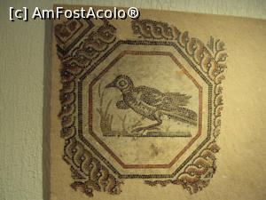 [P55] Musée de la Civilisation Gallo-Romaine - mozaic zoomorf octogonal » foto by Carmen Ion
 - 
<span class="allrVoted glyphicon glyphicon-heart hidden" id="av929887"></span>
<a class="m-l-10 hidden" id="sv929887" onclick="voting_Foto_DelVot(,929887,9297)" role="button">șterge vot <span class="glyphicon glyphicon-remove"></span></a>
<a id="v9929887" class=" c-red"  onclick="voting_Foto_SetVot(929887)" role="button"><span class="glyphicon glyphicon-heart-empty"></span> <b>LIKE</b> = Votează poza</a> <img class="hidden"  id="f929887W9" src="/imagini/loader.gif" border="0" /><span class="AjErrMes hidden" id="e929887ErM"></span>