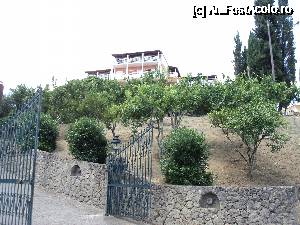 [P04] Livada ascude panta ,,criminala'' care te duce la hotel. Dar cred ca e evidenta diferenta de altitudine dintre intrare in curtea hotelului si cladire.  » foto by monaca
 - 
<span class="allrVoted glyphicon glyphicon-heart hidden" id="av692248"></span>
<a class="m-l-10 hidden" id="sv692248" onclick="voting_Foto_DelVot(,692248,9391)" role="button">șterge vot <span class="glyphicon glyphicon-remove"></span></a>
<a id="v9692248" class=" c-red"  onclick="voting_Foto_SetVot(692248)" role="button"><span class="glyphicon glyphicon-heart-empty"></span> <b>LIKE</b> = Votează poza</a> <img class="hidden"  id="f692248W9" src="/imagini/loader.gif" border="0" /><span class="AjErrMes hidden" id="e692248ErM"></span>