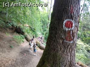 [P01] Copii în excursie spre Cascada Urlătoarea » foto by Mioritik
 - 
<span class="allrVoted glyphicon glyphicon-heart hidden" id="av1234284"></span>
<a class="m-l-10 hidden" id="sv1234284" onclick="voting_Foto_DelVot(,1234284,9594)" role="button">șterge vot <span class="glyphicon glyphicon-remove"></span></a>
<a id="v91234284" class=" c-red"  onclick="voting_Foto_SetVot(1234284)" role="button"><span class="glyphicon glyphicon-heart-empty"></span> <b>LIKE</b> = Votează poza</a> <img class="hidden"  id="f1234284W9" src="/imagini/loader.gif" border="0" /><span class="AjErrMes hidden" id="e1234284ErM"></span>