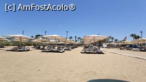 [P50]  -- <small>// FĂRĂ DESCRIERE</small> » foto by elenaadina
 - 
<span class="allrVoted glyphicon glyphicon-heart hidden" id="av1532202"></span>
<a class="m-l-10 hidden" id="sv1532202" onclick="voting_Foto_DelVot(,1532202,9619)" role="button">șterge vot <span class="glyphicon glyphicon-remove"></span></a>
<a id="v91532202" class=" c-red"  onclick="voting_Foto_SetVot(1532202)" role="button"><span class="glyphicon glyphicon-heart-empty"></span> <b>LIKE</b> = Votează poza</a> <img class="hidden"  id="f1532202W9" src="/imagini/loader.gif" border="0" /><span class="AjErrMes hidden" id="e1532202ErM"></span>