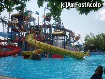 [P12] aqua park » foto by glavan carmen
 - 
<span class="allrVoted glyphicon glyphicon-heart hidden" id="av236897"></span>
<a class="m-l-10 hidden" id="sv236897" onclick="voting_Foto_DelVot(,236897,9691)" role="button">șterge vot <span class="glyphicon glyphicon-remove"></span></a>
<a id="v9236897" class=" c-red"  onclick="voting_Foto_SetVot(236897)" role="button"><span class="glyphicon glyphicon-heart-empty"></span> <b>LIKE</b> = Votează poza</a> <img class="hidden"  id="f236897W9" src="/imagini/loader.gif" border="0" /><span class="AjErrMes hidden" id="e236897ErM"></span>