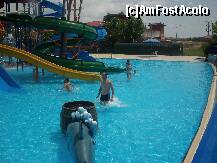 [P13] aqua park-salonic » foto by glavan carmen
 - 
<span class="allrVoted glyphicon glyphicon-heart hidden" id="av236898"></span>
<a class="m-l-10 hidden" id="sv236898" onclick="voting_Foto_DelVot(,236898,9691)" role="button">șterge vot <span class="glyphicon glyphicon-remove"></span></a>
<a id="v9236898" class=" c-red"  onclick="voting_Foto_SetVot(236898)" role="button"><span class="glyphicon glyphicon-heart-empty"></span> <b>LIKE</b> = Votează poza</a> <img class="hidden"  id="f236898W9" src="/imagini/loader.gif" border="0" /><span class="AjErrMes hidden" id="e236898ErM"></span>