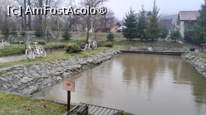 [P13] bazin cu pesti » foto by Yolanda
 - 
<span class="allrVoted glyphicon glyphicon-heart hidden" id="av1507876"></span>
<a class="m-l-10 hidden" id="sv1507876" onclick="voting_Foto_DelVot(,1507876,9747)" role="button">șterge vot <span class="glyphicon glyphicon-remove"></span></a>
<a id="v91507876" class=" c-red"  onclick="voting_Foto_SetVot(1507876)" role="button"><span class="glyphicon glyphicon-heart-empty"></span> <b>LIKE</b> = Votează poza</a> <img class="hidden"  id="f1507876W9" src="/imagini/loader.gif" border="0" /><span class="AjErrMes hidden" id="e1507876ErM"></span>