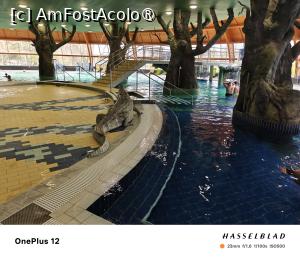 [P20] Prin AquaPalace » foto by creivean
 - 
<span class="allrVoted glyphicon glyphicon-heart hidden" id="av1480681"></span>
<a class="m-l-10 hidden" id="sv1480681" onclick="voting_Foto_DelVot(,1480681,9954)" role="button">șterge vot <span class="glyphicon glyphicon-remove"></span></a>
<a id="v91480681" class=" c-red"  onclick="voting_Foto_SetVot(1480681)" role="button"><span class="glyphicon glyphicon-heart-empty"></span> <b>LIKE</b> = Votează poza</a> <img class="hidden"  id="f1480681W9" src="/imagini/loader.gif" border="0" /><span class="AjErrMes hidden" id="e1480681ErM"></span>