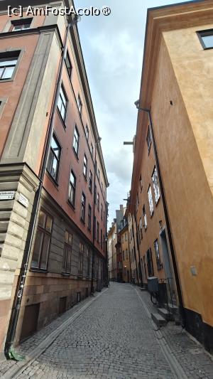 [P17] La pas prin Stockholm » foto by elenaadina
 - 
<span class="allrVoted glyphicon glyphicon-heart hidden" id="av1541162"></span>
<a class="m-l-10 hidden" id="sv1541162" onclick="voting_Foto_DelVot(,1541162,9962)" role="button">șterge vot <span class="glyphicon glyphicon-remove"></span></a>
<a id="v91541162" class=" c-red"  onclick="voting_Foto_SetVot(1541162)" role="button"><span class="glyphicon glyphicon-heart-empty"></span> <b>LIKE</b> = Votează poza</a> <img class="hidden"  id="f1541162W9" src="/imagini/loader.gif" border="0" /><span class="AjErrMes hidden" id="e1541162ErM"></span>