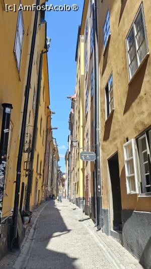 [P59] La pas prin Stockholm » foto by elenaadina
 - 
<span class="allrVoted glyphicon glyphicon-heart hidden" id="av1541204"></span>
<a class="m-l-10 hidden" id="sv1541204" onclick="voting_Foto_DelVot(,1541204,9962)" role="button">șterge vot <span class="glyphicon glyphicon-remove"></span></a>
<a id="v91541204" class=" c-red"  onclick="voting_Foto_SetVot(1541204)" role="button"><span class="glyphicon glyphicon-heart-empty"></span> <b>LIKE</b> = Votează poza</a> <img class="hidden"  id="f1541204W9" src="/imagini/loader.gif" border="0" /><span class="AjErrMes hidden" id="e1541204ErM"></span>