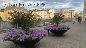 [P09] La pas prin Stockholm » foto by elenaadina
 - 
<span class="allrVoted glyphicon glyphicon-heart hidden" id="av1541154"></span>
<a class="m-l-10 hidden" id="sv1541154" onclick="voting_Foto_DelVot(,1541154,9962)" role="button">șterge vot <span class="glyphicon glyphicon-remove"></span></a>
<a id="v91541154" class=" c-red"  onclick="voting_Foto_SetVot(1541154)" role="button"><span class="glyphicon glyphicon-heart-empty"></span> <b>LIKE</b> = Votează poza</a> <img class="hidden"  id="f1541154W9" src="/imagini/loader.gif" border="0" /><span class="AjErrMes hidden" id="e1541154ErM"></span>