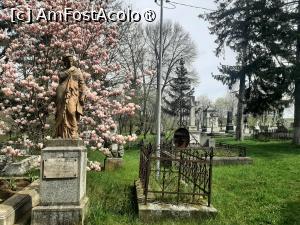 [P20] Cimitirul armenesc » foto by adso
 - 
<span class="allrVoted glyphicon glyphicon-heart hidden" id="av1529564"></span>
<a class="m-l-10 hidden" id="sv1529564" onclick="voting_Foto_DelVot(,1529564,9996)" role="button">șterge vot <span class="glyphicon glyphicon-remove"></span></a>
<a id="v91529564" class=" c-red"  onclick="voting_Foto_SetVot(1529564)" role="button"><span class="glyphicon glyphicon-heart-empty"></span> <b>LIKE</b> = Votează poza</a> <img class="hidden"  id="f1529564W9" src="/imagini/loader.gif" border="0" /><span class="AjErrMes hidden" id="e1529564ErM"></span>