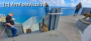 [P15] Gibraltar, de pe Skywalk » foto by irinad
 - 
<span class="allrVoted glyphicon glyphicon-heart hidden" id="av1516140"></span>
<a class="m-l-10 hidden" id="sv1516140" onclick="voting_Foto_DelVot(,1516140,10280)" role="button">șterge vot <span class="glyphicon glyphicon-remove"></span></a>
<a id="v91516140" class=" c-red"  onclick="voting_Foto_SetVot(1516140)" role="button"><span class="glyphicon glyphicon-heart-empty"></span> <b>LIKE</b> = Votează poza</a> <img class="hidden"  id="f1516140W9" src="/imagini/loader.gif" border="0" /><span class="AjErrMes hidden" id="e1516140ErM"></span>