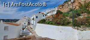 [P55] Frigiliana, pe alei » foto by irinad
 - 
<span class="allrVoted glyphicon glyphicon-heart hidden" id="av1516180"></span>
<a class="m-l-10 hidden" id="sv1516180" onclick="voting_Foto_DelVot(,1516180,10280)" role="button">șterge vot <span class="glyphicon glyphicon-remove"></span></a>
<a id="v91516180" class=" c-red"  onclick="voting_Foto_SetVot(1516180)" role="button"><span class="glyphicon glyphicon-heart-empty"></span> <b>LIKE</b> = Votează poza</a> <img class="hidden"  id="f1516180W9" src="/imagini/loader.gif" border="0" /><span class="AjErrMes hidden" id="e1516180ErM"></span>