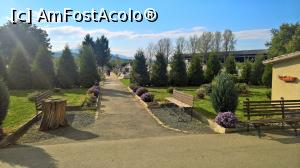 [P24] Parcul si cimitirul din curtea bisericii sf Nicolae » foto by AZE
 - 
<span class="allrVoted glyphicon glyphicon-heart hidden" id="av907673"></span>
<a class="m-l-10 hidden" id="sv907673" onclick="voting_Foto_DelVot(,907673,10358)" role="button">șterge vot <span class="glyphicon glyphicon-remove"></span></a>
<a id="v9907673" class=" c-red"  onclick="voting_Foto_SetVot(907673)" role="button"><span class="glyphicon glyphicon-heart-empty"></span> <b>LIKE</b> = Votează poza</a> <img class="hidden"  id="f907673W9" src="/imagini/loader.gif" border="0" /><span class="AjErrMes hidden" id="e907673ErM"></span>