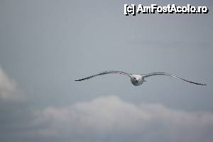 [P02] Ce poate fi mai frumos?  » foto by mirmicu
 - 
<span class="allrVoted glyphicon glyphicon-heart hidden" id="av401949"></span>
<a class="m-l-10 hidden" id="sv401949" onclick="voting_Foto_DelVot(,401949,10699)" role="button">șterge vot <span class="glyphicon glyphicon-remove"></span></a>
<a id="v9401949" class=" c-red"  onclick="voting_Foto_SetVot(401949)" role="button"><span class="glyphicon glyphicon-heart-empty"></span> <b>LIKE</b> = Votează poza</a> <img class="hidden"  id="f401949W9" src="/imagini/loader.gif" border="0" /><span class="AjErrMes hidden" id="e401949ErM"></span>