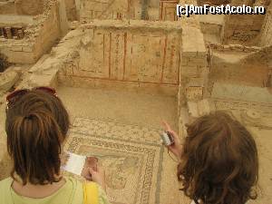 P13 [AUG-2014] Alte mozaicuri grecesti in situl de la Efes. 