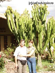 [P05] la umbra nucului , pardon.... scuzati, cactusului batran » foto by edith simon
 - 
<span class="allrVoted glyphicon glyphicon-heart hidden" id="av24968"></span>
<a class="m-l-10 hidden" id="sv24968" onclick="voting_Foto_DelVot(,24968,11018)" role="button">șterge vot <span class="glyphicon glyphicon-remove"></span></a>
<a id="v924968" class=" c-red"  onclick="voting_Foto_SetVot(24968)" role="button"><span class="glyphicon glyphicon-heart-empty"></span> <b>LIKE</b> = Votează poza</a> <img class="hidden"  id="f24968W9" src="/imagini/loader.gif" border="0" /><span class="AjErrMes hidden" id="e24968ErM"></span>