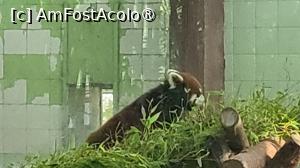 [P29]  -- <small>// FĂRĂ DESCRIERE</small> » foto by geani anto
 - 
<span class="allrVoted glyphicon glyphicon-heart hidden" id="av1509542"></span>
<a class="m-l-10 hidden" id="sv1509542" onclick="voting_Foto_DelVot(,1509542,11037)" role="button">șterge vot <span class="glyphicon glyphicon-remove"></span></a>
<a id="v91509542" class=" c-red"  onclick="voting_Foto_SetVot(1509542)" role="button"><span class="glyphicon glyphicon-heart-empty"></span> <b>LIKE</b> = Votează poza</a> <img class="hidden"  id="f1509542W9" src="/imagini/loader.gif" border="0" /><span class="AjErrMes hidden" id="e1509542ErM"></span>