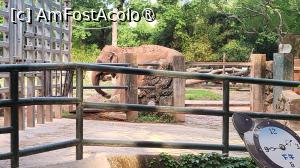[P42] Casa Elefantilor, situata in mijlocul unei vegetatii luxuriante, imbina stilurile arhitecturale sovietice si chinezesti si gazduieste elefantii asiatici, cele mai mari mamifere terestre din Asia, ce joaca un rol crucial in intretinerea padurilor si dispersarea semintelor. » foto by geani anto
 - 
<span class="allrVoted glyphicon glyphicon-heart hidden" id="av1509555"></span>
<a class="m-l-10 hidden" id="sv1509555" onclick="voting_Foto_DelVot(,1509555,11037)" role="button">șterge vot <span class="glyphicon glyphicon-remove"></span></a>
<a id="v91509555" class=" c-red"  onclick="voting_Foto_SetVot(1509555)" role="button"><span class="glyphicon glyphicon-heart-empty"></span> <b>LIKE</b> = Votează poza</a> <img class="hidden"  id="f1509555W9" src="/imagini/loader.gif" border="0" /><span class="AjErrMes hidden" id="e1509555ErM"></span>