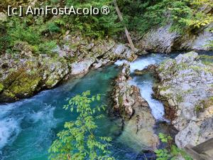 [P10] La pas prin Canionul Vintgar » foto by crismis
 - 
<span class="allrVoted glyphicon glyphicon-heart hidden" id="av1510689"></span>
<a class="m-l-10 hidden" id="sv1510689" onclick="voting_Foto_DelVot(,1510689,11040)" role="button">șterge vot <span class="glyphicon glyphicon-remove"></span></a>
<a id="v91510689" class=" c-red"  onclick="voting_Foto_SetVot(1510689)" role="button"><span class="glyphicon glyphicon-heart-empty"></span> <b>LIKE</b> = Votează poza</a> <img class="hidden"  id="f1510689W9" src="/imagini/loader.gif" border="0" /><span class="AjErrMes hidden" id="e1510689ErM"></span>