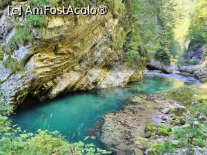 [P11] La pas prin Canionul Vintgar » foto by crismis
 - 
<span class="allrVoted glyphicon glyphicon-heart hidden" id="av1510690"></span>
<a class="m-l-10 hidden" id="sv1510690" onclick="voting_Foto_DelVot(,1510690,11040)" role="button">șterge vot <span class="glyphicon glyphicon-remove"></span></a>
<a id="v91510690" class=" c-red"  onclick="voting_Foto_SetVot(1510690)" role="button"><span class="glyphicon glyphicon-heart-empty"></span> <b>LIKE</b> = Votează poza</a> <img class="hidden"  id="f1510690W9" src="/imagini/loader.gif" border="0" /><span class="AjErrMes hidden" id="e1510690ErM"></span>