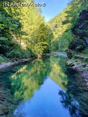 [P19] La pas prin Canionul Vintgar » foto by crismis
 - 
<span class="allrVoted glyphicon glyphicon-heart hidden" id="av1510698"></span>
<a class="m-l-10 hidden" id="sv1510698" onclick="voting_Foto_DelVot(,1510698,11040)" role="button">șterge vot <span class="glyphicon glyphicon-remove"></span></a>
<a id="v91510698" class=" c-red"  onclick="voting_Foto_SetVot(1510698)" role="button"><span class="glyphicon glyphicon-heart-empty"></span> <b>LIKE</b> = Votează poza</a> <img class="hidden"  id="f1510698W9" src="/imagini/loader.gif" border="0" /><span class="AjErrMes hidden" id="e1510698ErM"></span>