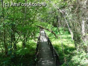P46 [MAY-2019] Ecopark Varna - podul de lemn