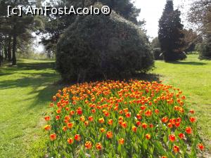 P10 [APR-2017] Frumuseţe la superlativ în Grădina Botanică din Sf. Constantin şi Elena