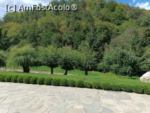 [P10] Grădina mânăstirii » foto by laurand
 - 
<span class="allrVoted glyphicon glyphicon-heart hidden" id="av1507699"></span>
<a class="m-l-10 hidden" id="sv1507699" onclick="voting_Foto_DelVot(,1507699,11234)" role="button">șterge vot <span class="glyphicon glyphicon-remove"></span></a>
<a id="v91507699" class=" c-red"  onclick="voting_Foto_SetVot(1507699)" role="button"><span class="glyphicon glyphicon-heart-empty"></span> <b>LIKE</b> = Votează poza</a> <img class="hidden"  id="f1507699W9" src="/imagini/loader.gif" border="0" /><span class="AjErrMes hidden" id="e1507699ErM"></span>