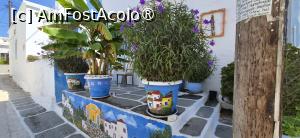 [P05] Aleea d-nei Flora, Messaria, Kythnos » foto by irinad
 - 
<span class="allrVoted glyphicon glyphicon-heart hidden" id="av1547542"></span>
<a class="m-l-10 hidden" id="sv1547542" onclick="voting_Foto_DelVot(,1547542,11293)" role="button">șterge vot <span class="glyphicon glyphicon-remove"></span></a>
<a id="v91547542" class=" c-red"  onclick="voting_Foto_SetVot(1547542)" role="button"><span class="glyphicon glyphicon-heart-empty"></span> <b>LIKE</b> = Votează poza</a> <img class="hidden"  id="f1547542W9" src="/imagini/loader.gif" border="0" /><span class="AjErrMes hidden" id="e1547542ErM"></span>