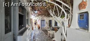 [P09] La pas prin Messaria, capitala insulei Kythnos » foto by irinad
 - 
<span class="allrVoted glyphicon glyphicon-heart hidden" id="av1547546"></span>
<a class="m-l-10 hidden" id="sv1547546" onclick="voting_Foto_DelVot(,1547546,11293)" role="button">șterge vot <span class="glyphicon glyphicon-remove"></span></a>
<a id="v91547546" class=" c-red"  onclick="voting_Foto_SetVot(1547546)" role="button"><span class="glyphicon glyphicon-heart-empty"></span> <b>LIKE</b> = Votează poza</a> <img class="hidden"  id="f1547546W9" src="/imagini/loader.gif" border="0" /><span class="AjErrMes hidden" id="e1547546ErM"></span>
