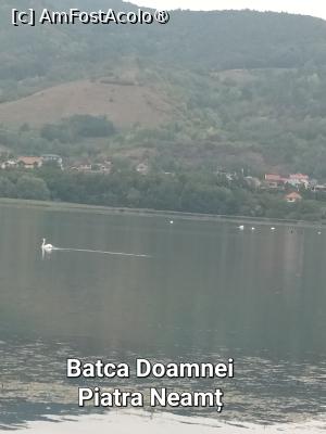 [P02] Batca Doamnei - Piatra Neamț » foto by serbanescu
 - 
<span class="allrVoted glyphicon glyphicon-heart hidden" id="av1445810"></span>
<a class="m-l-10 hidden" id="sv1445810" onclick="voting_Foto_DelVot(,1445810,11298)" role="button">șterge vot <span class="glyphicon glyphicon-remove"></span></a>
<a id="v91445810" class=" c-red"  onclick="voting_Foto_SetVot(1445810)" role="button"><span class="glyphicon glyphicon-heart-empty"></span> <b>LIKE</b> = Votează poza</a> <img class="hidden"  id="f1445810W9" src="/imagini/loader.gif" border="0" /><span class="AjErrMes hidden" id="e1445810ErM"></span>