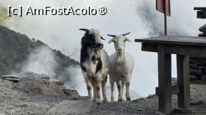 [P41]  -- <small>// FĂRĂ DESCRIERE</small> » foto by Mika
 - 
<span class="allrVoted glyphicon glyphicon-heart hidden" id="av1504153"></span>
<a class="m-l-10 hidden" id="sv1504153" onclick="voting_Foto_DelVot(,1504153,11367)" role="button">șterge vot <span class="glyphicon glyphicon-remove"></span></a>
<a id="v91504153" class=" c-red"  onclick="voting_Foto_SetVot(1504153)" role="button"><span class="glyphicon glyphicon-heart-empty"></span> <b>LIKE</b> = Votează poza</a> <img class="hidden"  id="f1504153W9" src="/imagini/loader.gif" border="0" /><span class="AjErrMes hidden" id="e1504153ErM"></span>