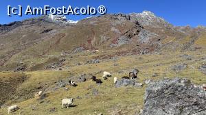 [P15] Pe drumul spre Lauribina » foto by Mika
 - 
<span class="allrVoted glyphicon glyphicon-heart hidden" id="av1505231"></span>
<a class="m-l-10 hidden" id="sv1505231" onclick="voting_Foto_DelVot(,1505231,11367)" role="button">șterge vot <span class="glyphicon glyphicon-remove"></span></a>
<a id="v91505231" class=" c-red"  onclick="voting_Foto_SetVot(1505231)" role="button"><span class="glyphicon glyphicon-heart-empty"></span> <b>LIKE</b> = Votează poza</a> <img class="hidden"  id="f1505231W9" src="/imagini/loader.gif" border="0" /><span class="AjErrMes hidden" id="e1505231ErM"></span>