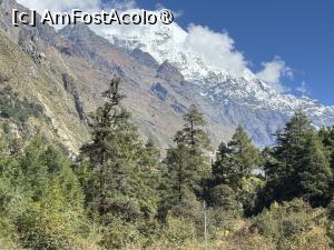 [P33] Valea Langtang » foto by Mika
 - 
<span class="allrVoted glyphicon glyphicon-heart hidden" id="av1506017"></span>
<a class="m-l-10 hidden" id="sv1506017" onclick="voting_Foto_DelVot(,1506017,11367)" role="button">șterge vot <span class="glyphicon glyphicon-remove"></span></a>
<a id="v91506017" class=" c-red"  onclick="voting_Foto_SetVot(1506017)" role="button"><span class="glyphicon glyphicon-heart-empty"></span> <b>LIKE</b> = Votează poza</a> <img class="hidden"  id="f1506017W9" src="/imagini/loader.gif" border="0" /><span class="AjErrMes hidden" id="e1506017ErM"></span>