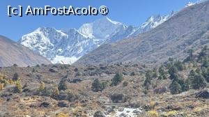 [P45] Valea Langtang » foto by Mika
 - 
<span class="allrVoted glyphicon glyphicon-heart hidden" id="av1506029"></span>
<a class="m-l-10 hidden" id="sv1506029" onclick="voting_Foto_DelVot(,1506029,11367)" role="button">șterge vot <span class="glyphicon glyphicon-remove"></span></a>
<a id="v91506029" class=" c-red"  onclick="voting_Foto_SetVot(1506029)" role="button"><span class="glyphicon glyphicon-heart-empty"></span> <b>LIKE</b> = Votează poza</a> <img class="hidden"  id="f1506029W9" src="/imagini/loader.gif" border="0" /><span class="AjErrMes hidden" id="e1506029ErM"></span>