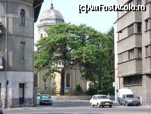 [P08] Paulownia ocrotită din curtea bisericii Popa Chiţu. Nu ştiu cît o fi de bătrînă, dacă a apucat cimitirul care a existat în curtea bisericii. Nu are o coroană frumoasă, dar cînd e înflorită, e un spectacol. » foto by abancor
 - 
<span class="allrVoted glyphicon glyphicon-heart hidden" id="av422214"></span>
<a class="m-l-10 hidden" id="sv422214" onclick="voting_Foto_DelVot(,422214,11447)" role="button">șterge vot <span class="glyphicon glyphicon-remove"></span></a>
<a id="v9422214" class=" c-red"  onclick="voting_Foto_SetVot(422214)" role="button"><span class="glyphicon glyphicon-heart-empty"></span> <b>LIKE</b> = Votează poza</a> <img class="hidden"  id="f422214W9" src="/imagini/loader.gif" border="0" /><span class="AjErrMes hidden" id="e422214ErM"></span>