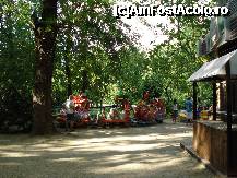 [P09] Bucuresti - Parcul Cismigiu - loc de joaca pentru cei mici » foto by Diaura*
 - 
<span class="allrVoted glyphicon glyphicon-heart hidden" id="av316282"></span>
<a class="m-l-10 hidden" id="sv316282" onclick="voting_Foto_DelVot(,316282,11447)" role="button">șterge vot <span class="glyphicon glyphicon-remove"></span></a>
<a id="v9316282" class=" c-red"  onclick="voting_Foto_SetVot(316282)" role="button"><span class="glyphicon glyphicon-heart-empty"></span> <b>LIKE</b> = Votează poza</a> <img class="hidden"  id="f316282W9" src="/imagini/loader.gif" border="0" /><span class="AjErrMes hidden" id="e316282ErM"></span>