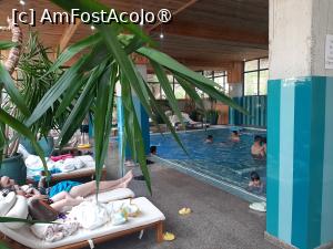 [P27] Piscina și șezlongurile » foto by roxxie
 - 
<span class="allrVoted glyphicon glyphicon-heart hidden" id="av1482551"></span>
<a class="m-l-10 hidden" id="sv1482551" onclick="voting_Foto_DelVot(,1482551,11553)" role="button">șterge vot <span class="glyphicon glyphicon-remove"></span></a>
<a id="v91482551" class=" c-red"  onclick="voting_Foto_SetVot(1482551)" role="button"><span class="glyphicon glyphicon-heart-empty"></span> <b>LIKE</b> = Votează poza</a> <img class="hidden"  id="f1482551W9" src="/imagini/loader.gif" border="0" /><span class="AjErrMes hidden" id="e1482551ErM"></span>
