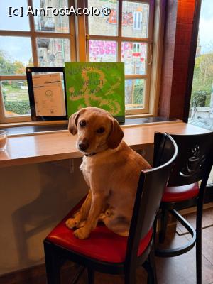 [P10] Café Nemoland » foto by adso
 - 
<span class="allrVoted glyphicon glyphicon-heart hidden" id="av1507344"></span>
<a class="m-l-10 hidden" id="sv1507344" onclick="voting_Foto_DelVot(,1507344,11635)" role="button">șterge vot <span class="glyphicon glyphicon-remove"></span></a>
<a id="v91507344" class=" c-red"  onclick="voting_Foto_SetVot(1507344)" role="button"><span class="glyphicon glyphicon-heart-empty"></span> <b>LIKE</b> = Votează poza</a> <img class="hidden"  id="f1507344W9" src="/imagini/loader.gif" border="0" /><span class="AjErrMes hidden" id="e1507344ErM"></span>