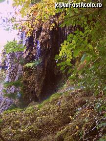 [P03] Green Rock Waterfalls, pe furiş » foto by vasilica
 - 
<span class="allrVoted glyphicon glyphicon-heart hidden" id="av376815"></span>
<a class="m-l-10 hidden" id="sv376815" onclick="voting_Foto_DelVot(,376815,11645)" role="button">șterge vot <span class="glyphicon glyphicon-remove"></span></a>
<a id="v9376815" class=" c-red"  onclick="voting_Foto_SetVot(376815)" role="button"><span class="glyphicon glyphicon-heart-empty"></span> <b>LIKE</b> = Votează poza</a> <img class="hidden"  id="f376815W9" src="/imagini/loader.gif" border="0" /><span class="AjErrMes hidden" id="e376815ErM"></span>