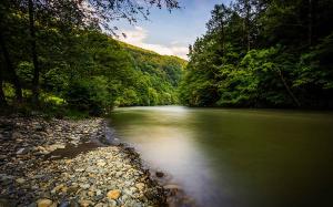 [P01] Defileul Jiului » foto by Michi <span class="label label-default labelC_thin small">NEVOTABILĂ</span>