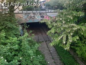 [P08] La Petite Ceinture » foto by adso
 - 
<span class="allrVoted glyphicon glyphicon-heart hidden" id="av1548918"></span>
<a class="m-l-10 hidden" id="sv1548918" onclick="voting_Foto_DelVot(,1548918,11886)" role="button">șterge vot <span class="glyphicon glyphicon-remove"></span></a>
<a id="v91548918" class=" c-red"  onclick="voting_Foto_SetVot(1548918)" role="button"><span class="glyphicon glyphicon-heart-empty"></span> <b>LIKE</b> = Votează poza</a> <img class="hidden"  id="f1548918W9" src="/imagini/loader.gif" border="0" /><span class="AjErrMes hidden" id="e1548918ErM"></span>
