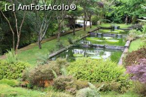 [P28] Insula Sao Miguel, Furnas, Parque Terra Nostra, Bazinul Victoria Regia plin de uriașii nuferi » foto by mprofeanu
 - 
<span class="allrVoted glyphicon glyphicon-heart hidden" id="av1013899"></span>
<a class="m-l-10 hidden" id="sv1013899" onclick="voting_Foto_DelVot(,1013899,12102)" role="button">șterge vot <span class="glyphicon glyphicon-remove"></span></a>
<a id="v91013899" class=" c-red"  onclick="voting_Foto_SetVot(1013899)" role="button"><span class="glyphicon glyphicon-heart-empty"></span> <b>LIKE</b> = Votează poza</a> <img class="hidden"  id="f1013899W9" src="/imagini/loader.gif" border="0" /><span class="AjErrMes hidden" id="e1013899ErM"></span>