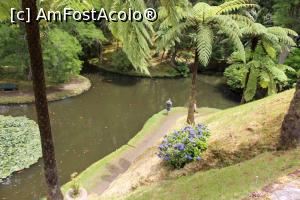 [P31] Insula Sao Miguel, Furnas, Parque Terra Nostra, Un colț din minunea de parc văzut de la Casa Parcului » foto by mprofeanu
 - 
<span class="allrVoted glyphicon glyphicon-heart hidden" id="av1013903"></span>
<a class="m-l-10 hidden" id="sv1013903" onclick="voting_Foto_DelVot(,1013903,12102)" role="button">șterge vot <span class="glyphicon glyphicon-remove"></span></a>
<a id="v91013903" class=" c-red"  onclick="voting_Foto_SetVot(1013903)" role="button"><span class="glyphicon glyphicon-heart-empty"></span> <b>LIKE</b> = Votează poza</a> <img class="hidden"  id="f1013903W9" src="/imagini/loader.gif" border="0" /><span class="AjErrMes hidden" id="e1013903ErM"></span>