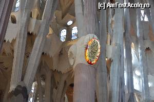 [P53] Sagrada Familia, coloanele inspirate dupa arborii Sequia » foto by Muffin2009
 - 
<span class="allrVoted glyphicon glyphicon-heart hidden" id="av352237"></span>
<a class="m-l-10 hidden" id="sv352237" onclick="voting_Foto_DelVot(,352237,12198)" role="button">șterge vot <span class="glyphicon glyphicon-remove"></span></a>
<a id="v9352237" class=" c-red"  onclick="voting_Foto_SetVot(352237)" role="button"><span class="glyphicon glyphicon-heart-empty"></span> <b>LIKE</b> = Votează poza</a> <img class="hidden"  id="f352237W9" src="/imagini/loader.gif" border="0" /><span class="AjErrMes hidden" id="e352237ErM"></span>