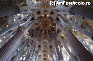 [P05] Sagrada Familia » foto by Bea
 - 
<span class="allrVoted glyphicon glyphicon-heart hidden" id="av496779"></span>
<a class="m-l-10 hidden" id="sv496779" onclick="voting_Foto_DelVot(,496779,12198)" role="button">șterge vot <span class="glyphicon glyphicon-remove"></span></a>
<a id="v9496779" class=" c-red"  onclick="voting_Foto_SetVot(496779)" role="button"><span class="glyphicon glyphicon-heart-empty"></span> <b>LIKE</b> = Votează poza</a> <img class="hidden"  id="f496779W9" src="/imagini/loader.gif" border="0" /><span class="AjErrMes hidden" id="e496779ErM"></span>