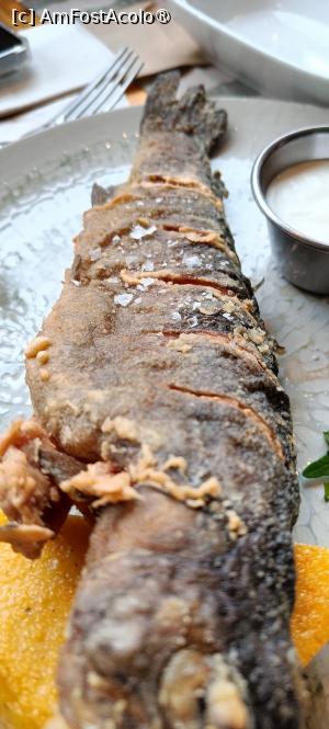 [P15] Păstrăvul prăjit. » foto by tata123 🔱
 - 
<span class="allrVoted glyphicon glyphicon-heart hidden" id="av1522300"></span>
<a class="m-l-10 hidden" id="sv1522300" onclick="voting_Foto_DelVot(,1522300,12565)" role="button">șterge vot <span class="glyphicon glyphicon-remove"></span></a>
<a id="v91522300" class=" c-red"  onclick="voting_Foto_SetVot(1522300)" role="button"><span class="glyphicon glyphicon-heart-empty"></span> <b>LIKE</b> = Votează poza</a> <img class="hidden"  id="f1522300W9" src="/imagini/loader.gif" border="0" /><span class="AjErrMes hidden" id="e1522300ErM"></span>