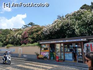 [P61] Ischia Porto.  » foto by maryka
 - 
<span class="allrVoted glyphicon glyphicon-heart hidden" id="av1083274"></span>
<a class="m-l-10 hidden" id="sv1083274" onclick="voting_Foto_DelVot(,1083274,12624)" role="button">șterge vot <span class="glyphicon glyphicon-remove"></span></a>
<a id="v91083274" class=" c-red"  onclick="voting_Foto_SetVot(1083274)" role="button"><span class="glyphicon glyphicon-heart-empty"></span> <b>LIKE</b> = Votează poza</a> <img class="hidden"  id="f1083274W9" src="/imagini/loader.gif" border="0" /><span class="AjErrMes hidden" id="e1083274ErM"></span>