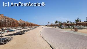 [P41] drumul spre Makadi Bay » foto by artemisa24
 - 
<span class="allrVoted glyphicon glyphicon-heart hidden" id="av1542458"></span>
<a class="m-l-10 hidden" id="sv1542458" onclick="voting_Foto_DelVot(,1542458,12724)" role="button">șterge vot <span class="glyphicon glyphicon-remove"></span></a>
<a id="v91542458" class=" c-red"  onclick="voting_Foto_SetVot(1542458)" role="button"><span class="glyphicon glyphicon-heart-empty"></span> <b>LIKE</b> = Votează poza</a> <img class="hidden"  id="f1542458W9" src="/imagini/loader.gif" border="0" /><span class="AjErrMes hidden" id="e1542458ErM"></span>